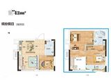 碧桂园泰富城_3室2厅2卫 建面43平米