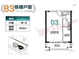 恒大泉都_1室1厅1卫 建面48平米