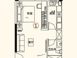 恒大中央广场_1室1厅1卫 建面55平米