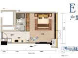 华侨城欢乐海岸PLUS蓝岸公寓_E户型建面约50.33㎡ 建面50平米