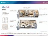 保利和光尘樾_45LOFT户型图 建面45平米